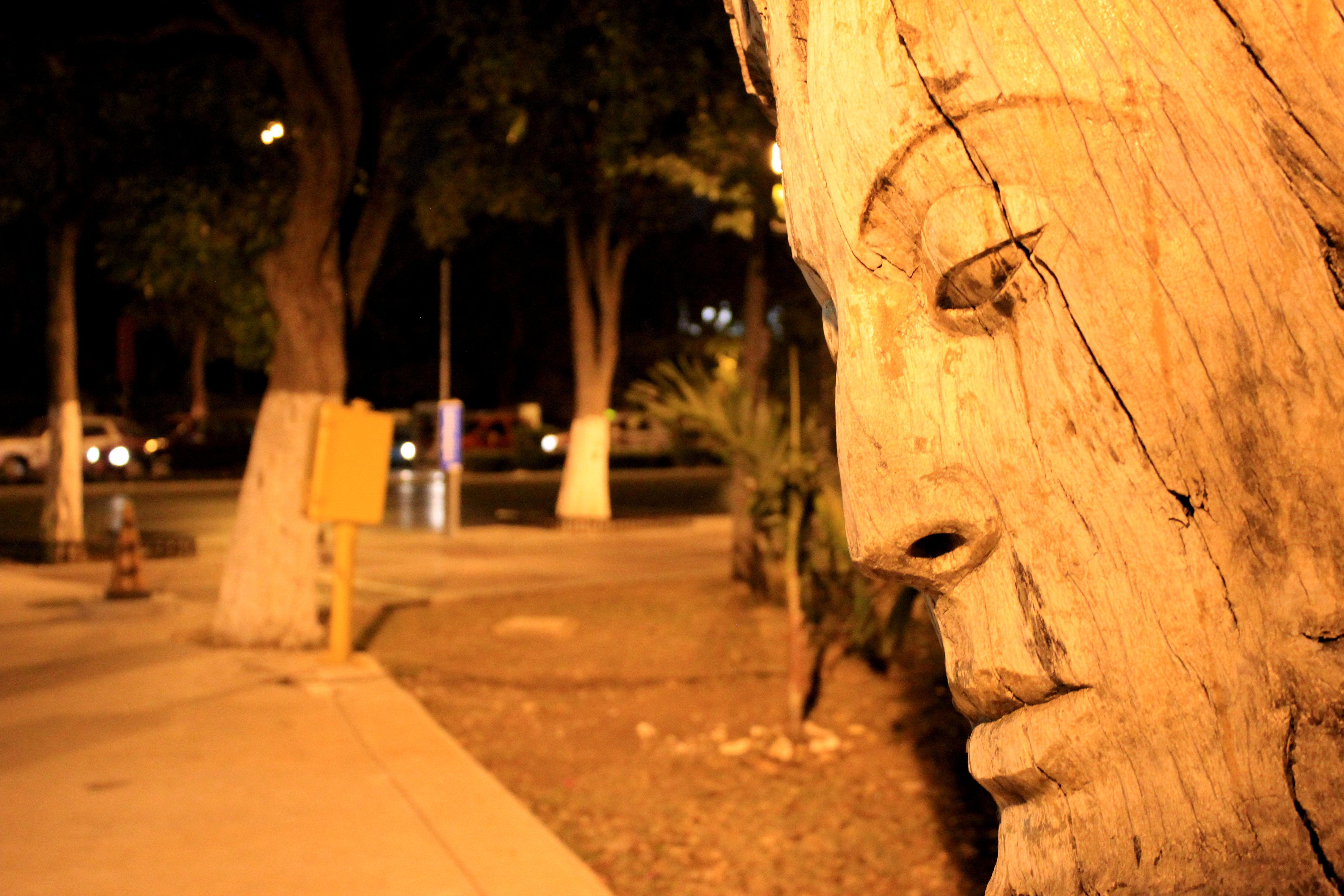 Holiday Inn Merida By Ihg Exterior photo